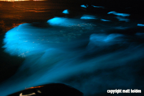Luminous Lagoon